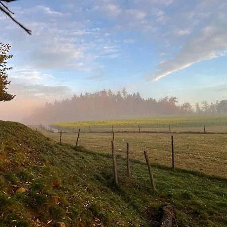 Hoeglerhof - Huettenzauber Petting