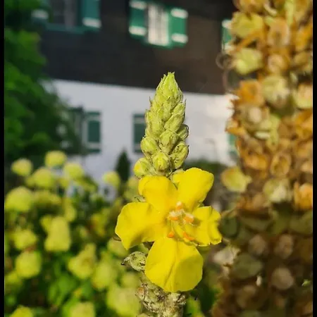 Apartman Hoeglerhof - Huettenzauber *