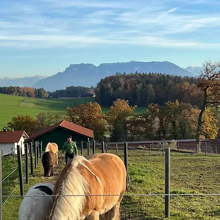 Hoeglerhof - Huettenzauber *