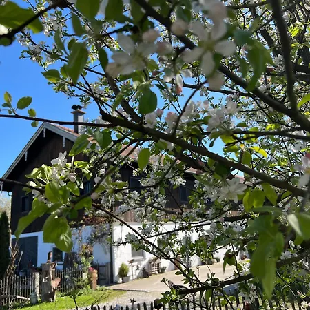 Apartman Hoeglerhof - Huettenzauber Petting