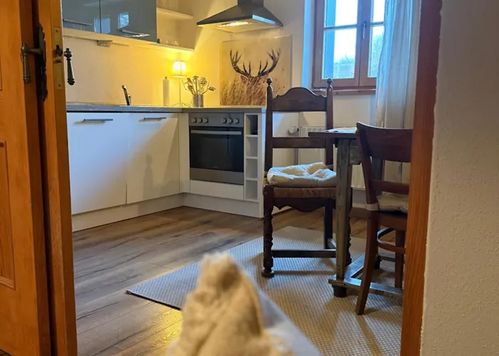 Hoeglerhof - Huettenzauber Petting