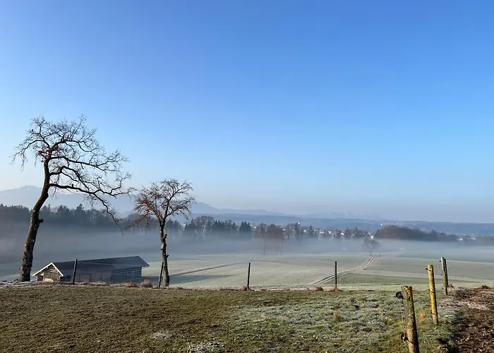 Hoeglerhof - Huettenzauber * Petting