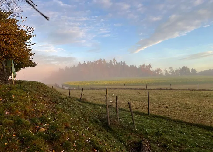 Hoeglerhof - Huettenzauber Petting