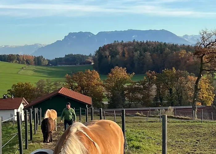 Hoeglerhof - Huettenzauber *